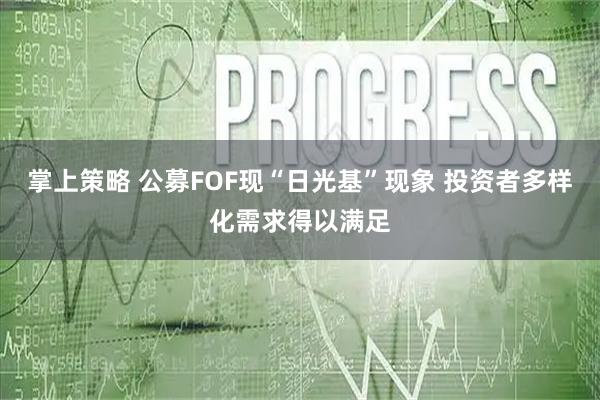 掌上策略 公募FOF现“日光基”现象 投资者多样化需求得以满足