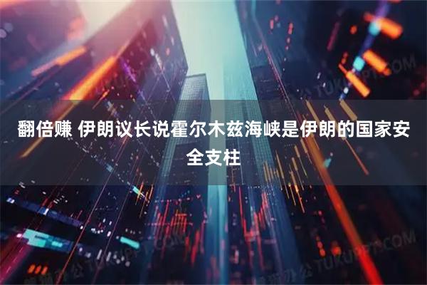翻倍赚 伊朗议长说霍尔木兹海峡是伊朗的国家安全支柱