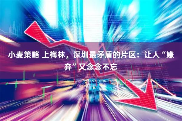 小麦策略 上梅林，深圳最矛盾的片区：让人“嫌弃”又念念不忘