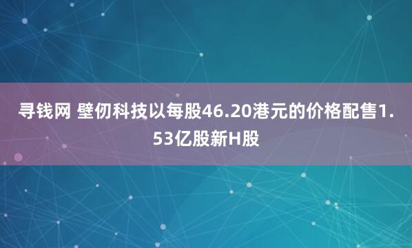 寻钱网 壁仞科技以每股46.20港元的价格配售1.53亿股新H股